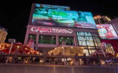 Cabo Wabo Cantina