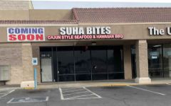 Suha Bites